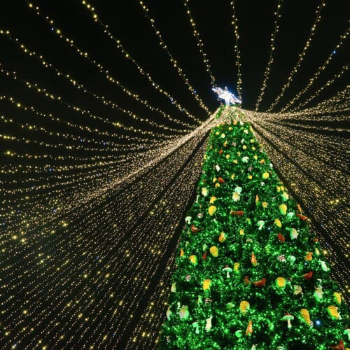 Nashville Holiday Lights Tours