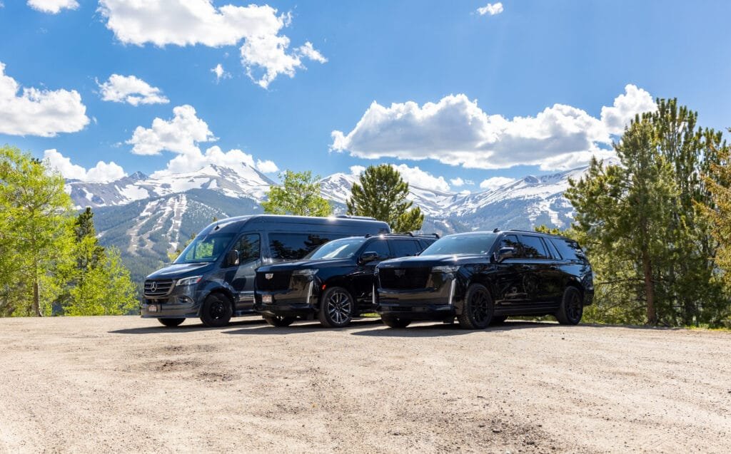 airport limo service