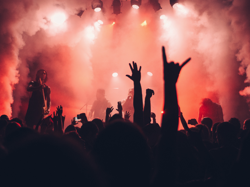 concert limo service