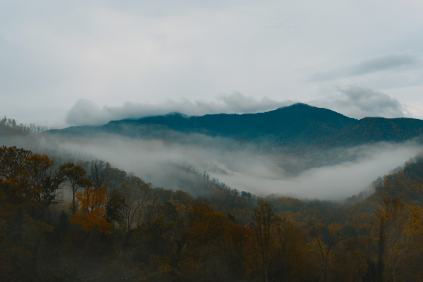 smoky mountain