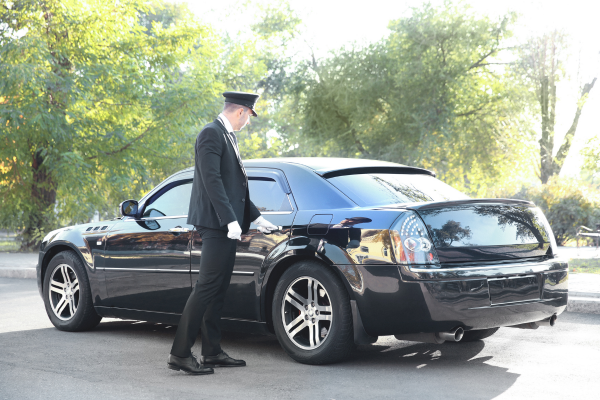 Professional chauffeurs