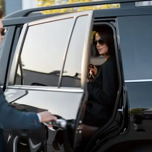 lavergnelimoservice-500x500